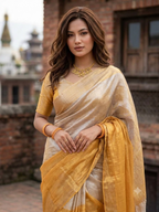 Regal Split Handloom Tissue Cotton Saree