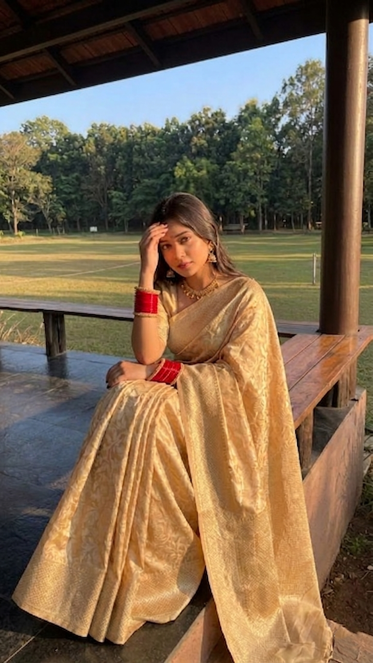 Classic Charm in a Stunning Silk Saree