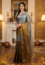 Regal Split Elegance Handloom Tissue Cotton Saree