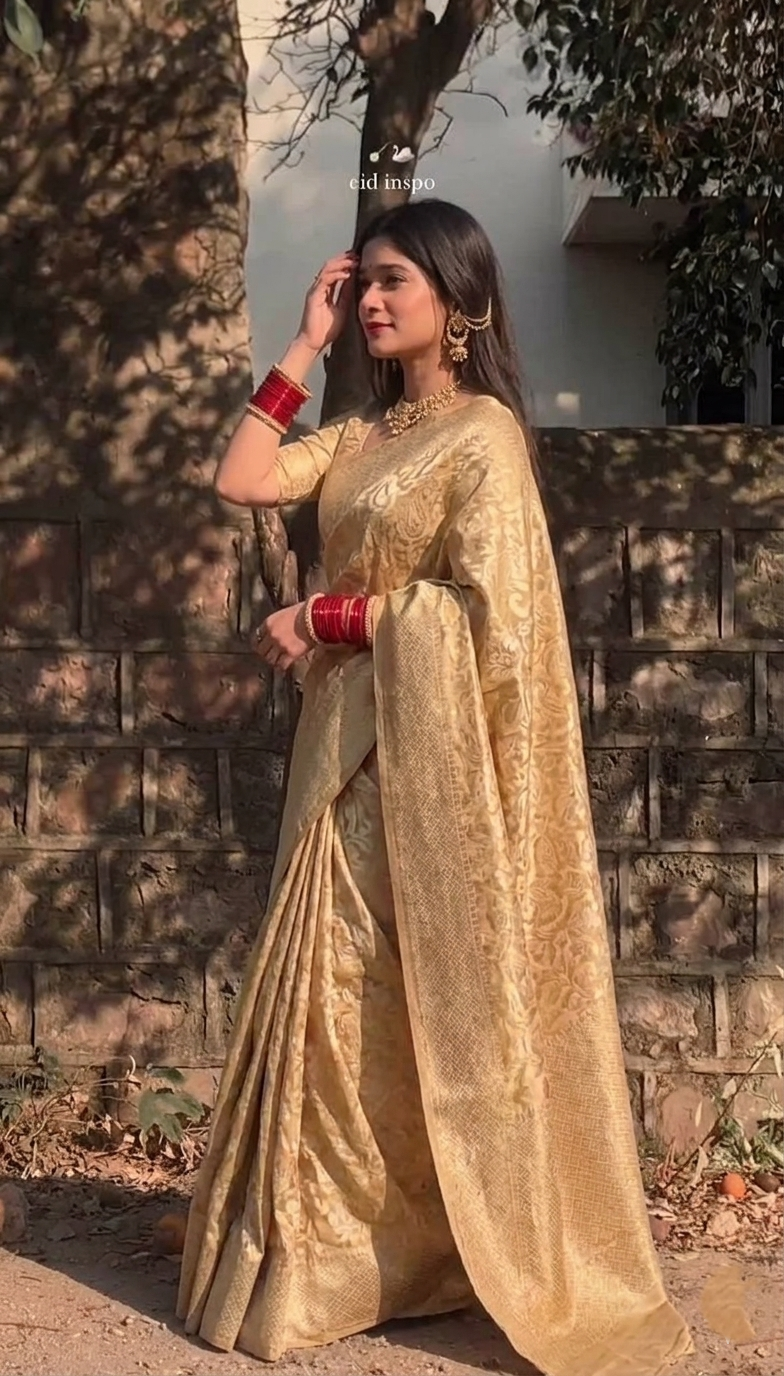 Classic Charm in a Stunning Silk Saree