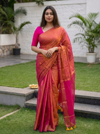 Elegant Grace A Traditional Saree Portrait