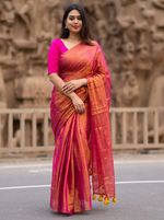Elegant Grace A Traditional Saree Portrait