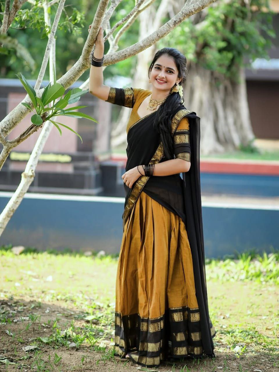 Lustrous Ochre & Midnight Onyx Radiance